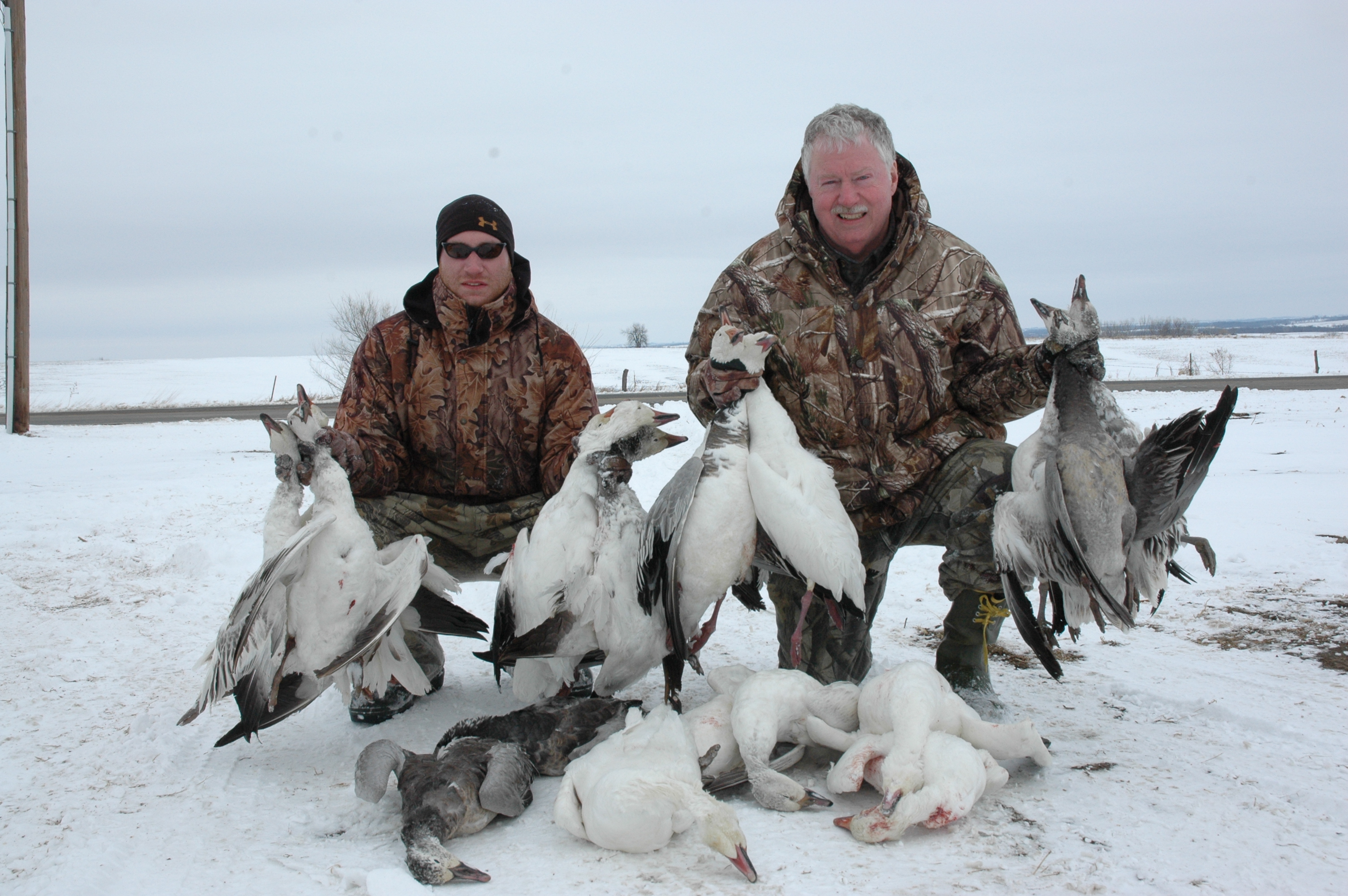 Spring Snow Goose Hunting - Mound City, Missouri