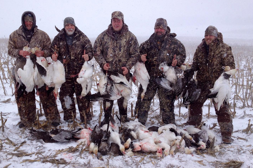 Guided Snow Goose Hunts - Mound City, Missouri - 402-304-1192