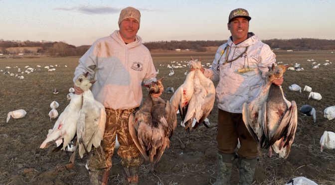 Squaw Creek Hunt Club & Guide Service - Mound City, Missouri - Snow Goose Hunting Guides